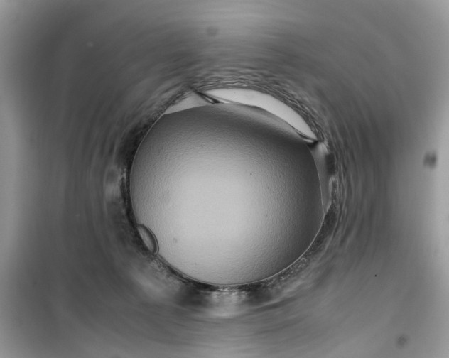 X0000099490225200805291113