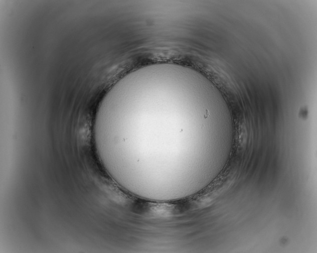 X0000099490226200805291113