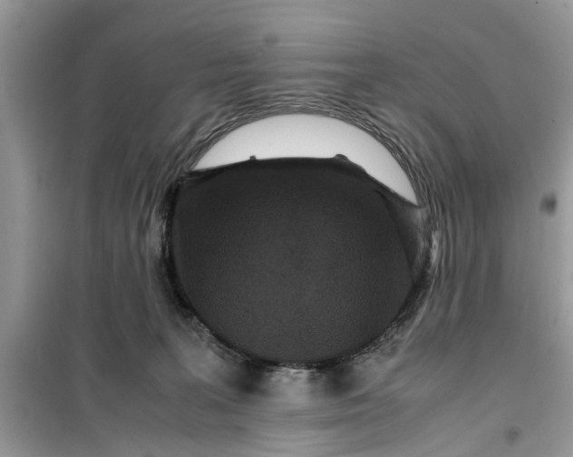 X0000099490227200805291113