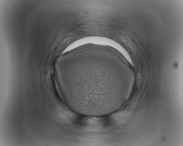 X0000099490229200805291113