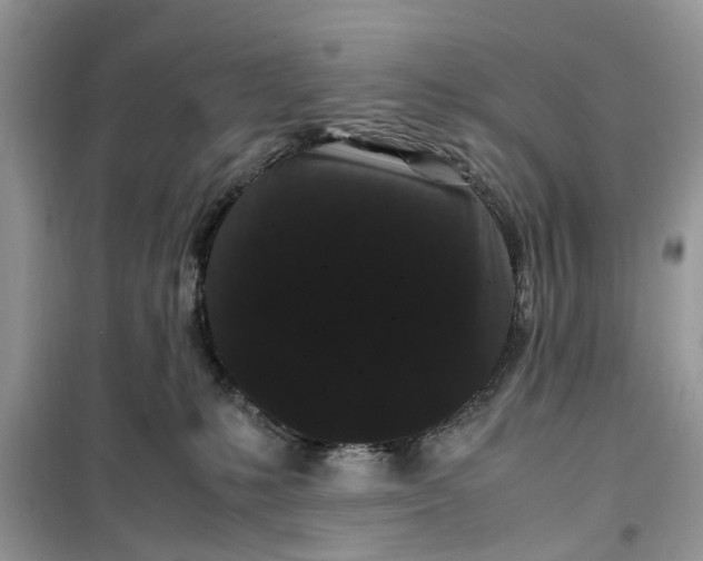 X0000099490231200805291113