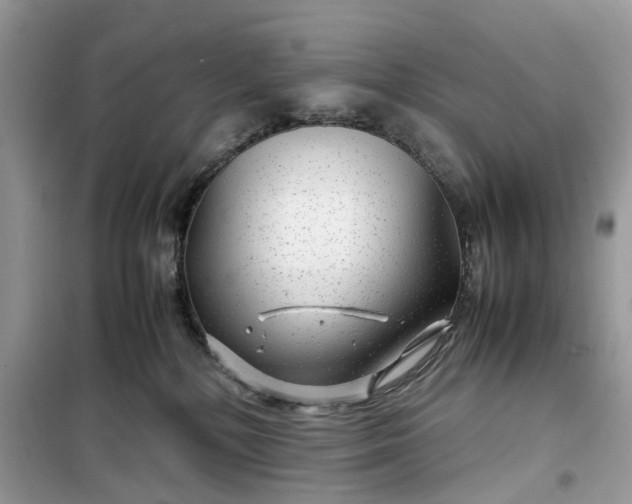 X0000099490232200805291113