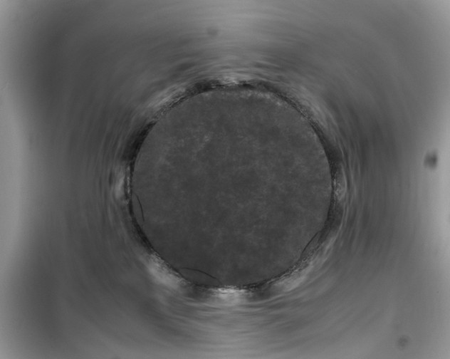 X0000099490233200805291113