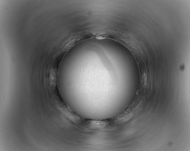 X0000099490234200805291113