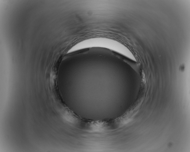 X0000099490235200805291113