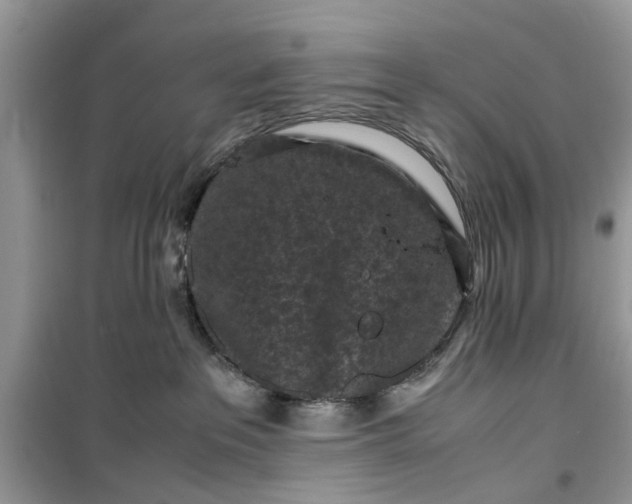 X0000099490237200805291113