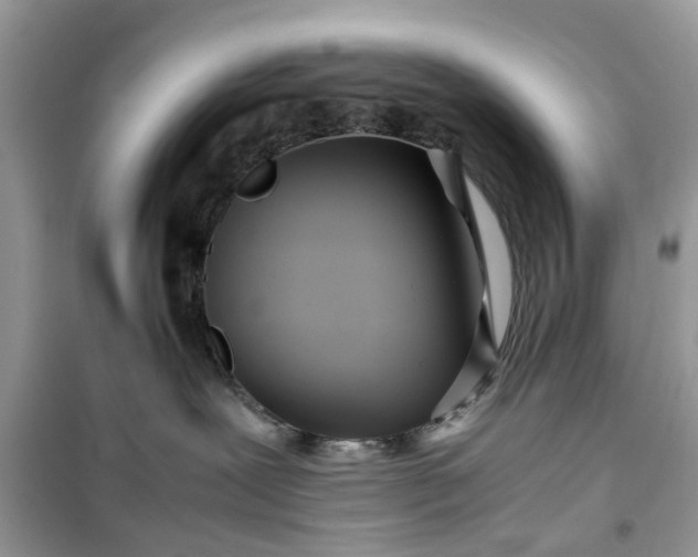 X0000099490239200805291113