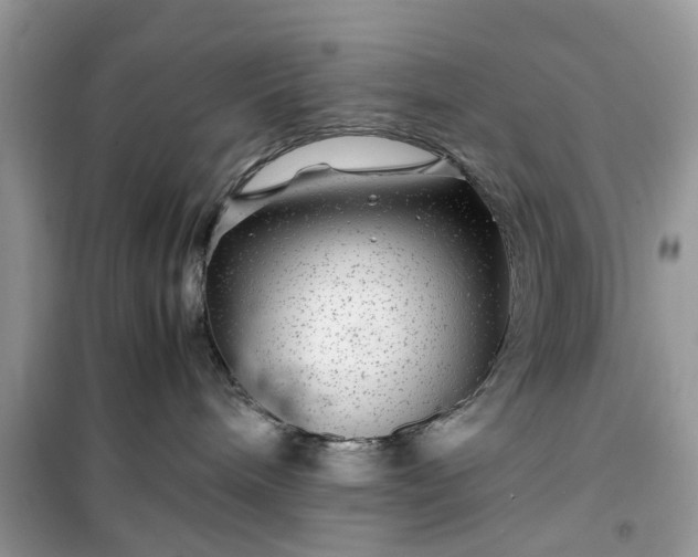 X0000099490240200805291113