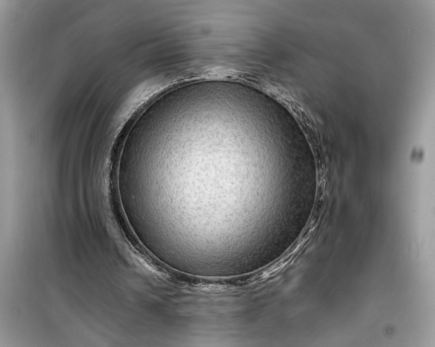 X0000099490242200805291112