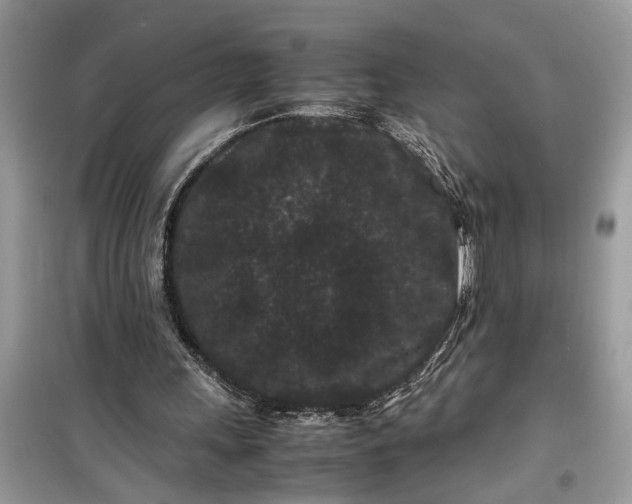 X0000099490243200805291112