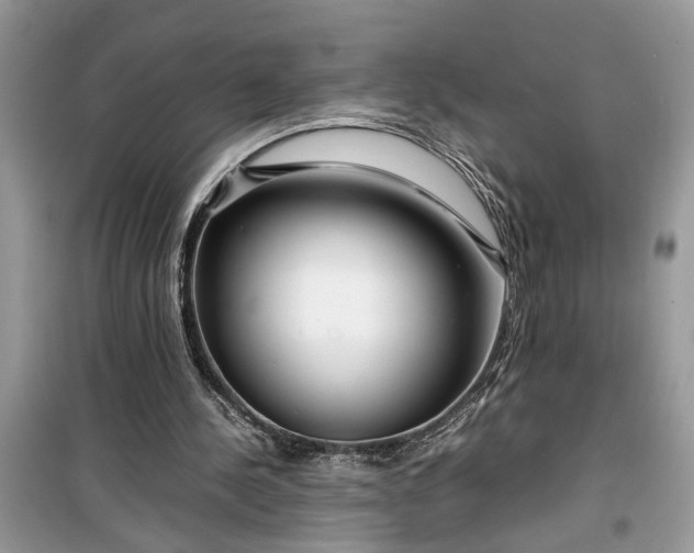 X0000099490244200805291112