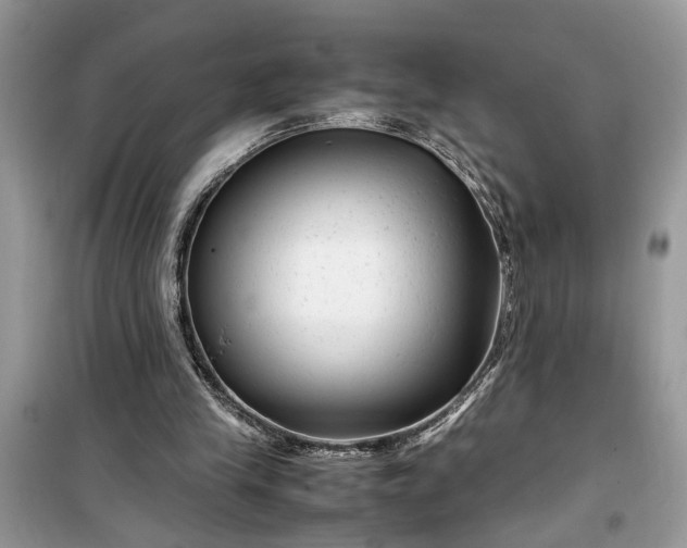 X0000099490245200805291112