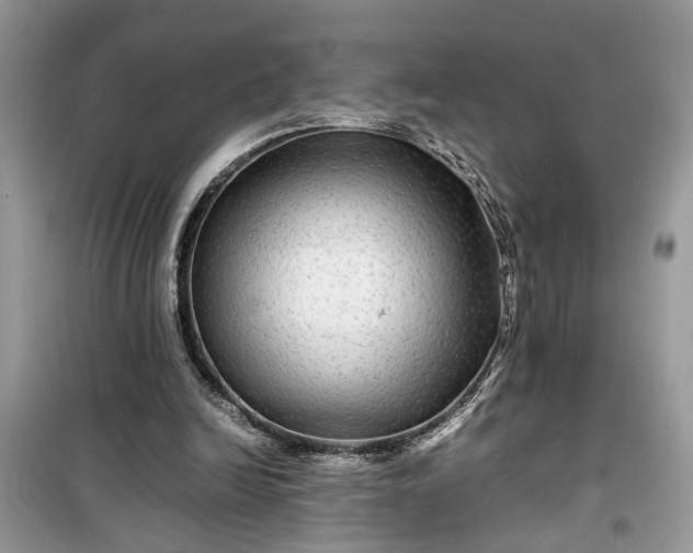 X0000099490246200805291112