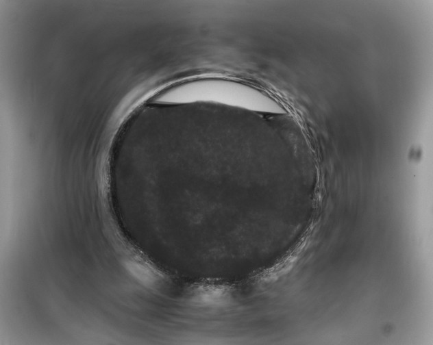 X0000099490247200805291112