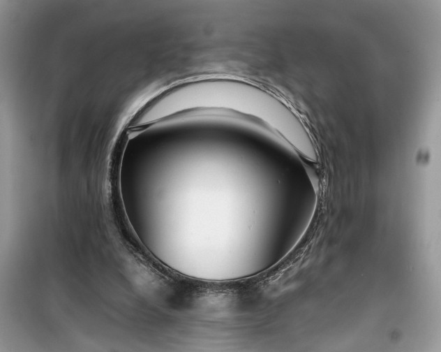 X0000099490248200805291112