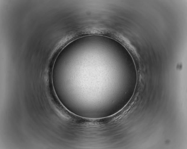 X0000099490250200805291113