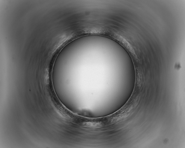 X0000099490251200805291113