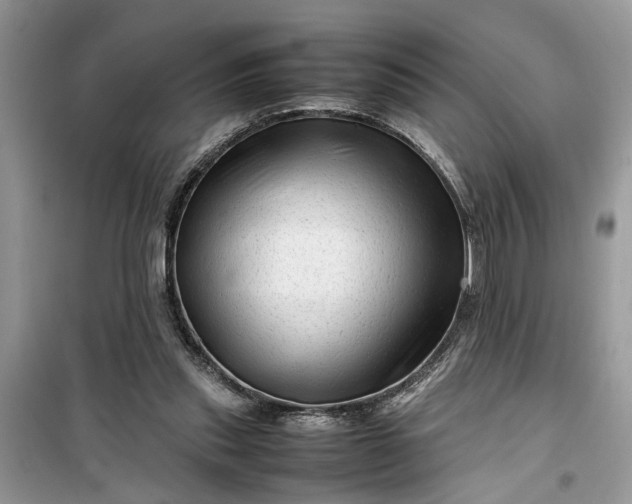 X0000099490253200805291113