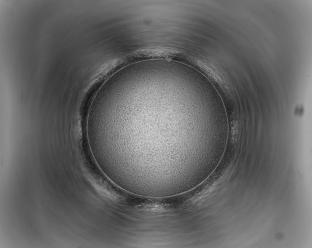 X0000099490254200805291113