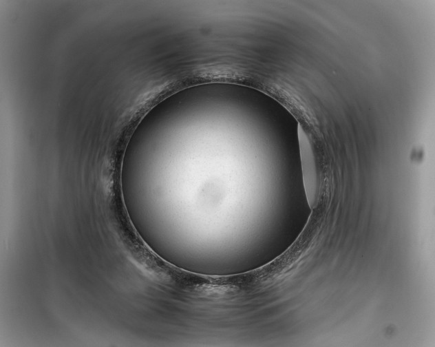 X0000099490255200805291113