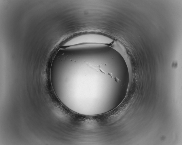 X0000099490256200805291113