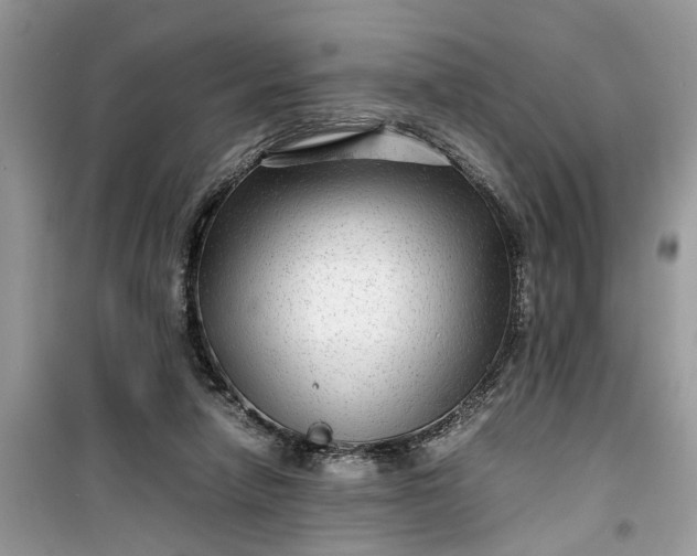 X0000099490258200805291113