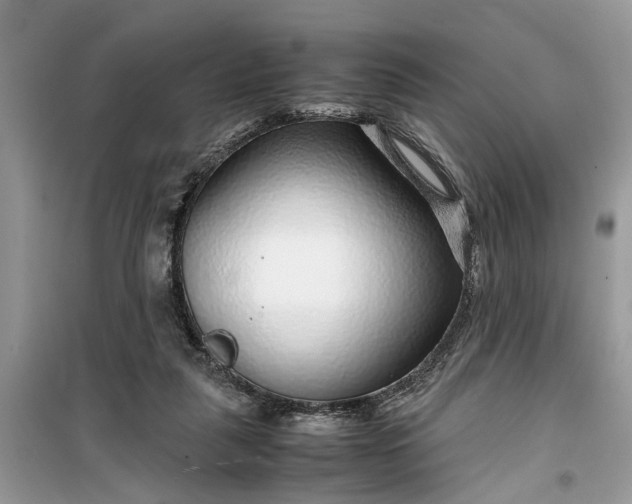 X0000099490259200805291113