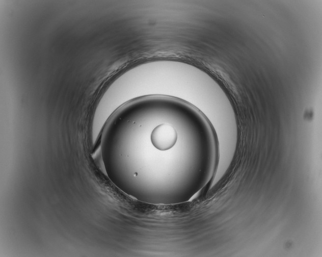 X0000099490260200805291113