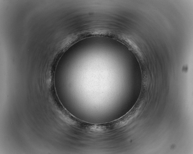 X0000099490261200805291113