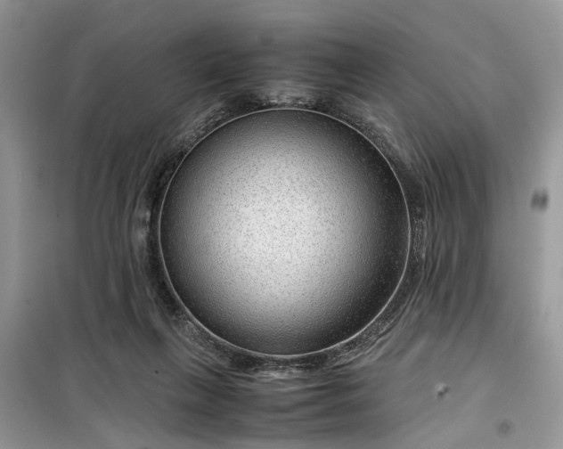 X0000099490263200805291113