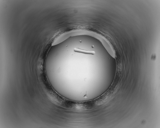 X0000099490264200805291113