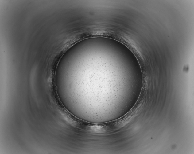 X0000099490265200805291113