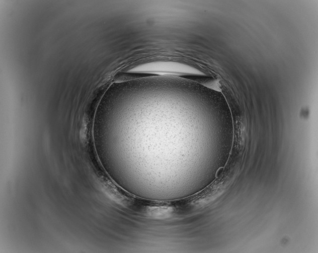 X0000099490266200805291113