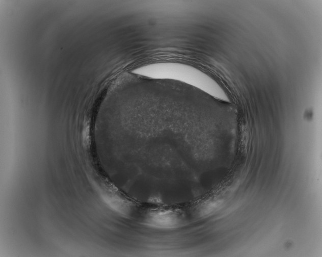 X0000099490267200805291113