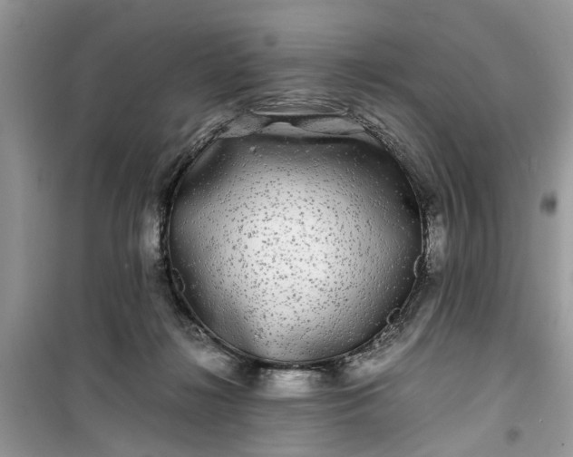 X0000099490268200805291113