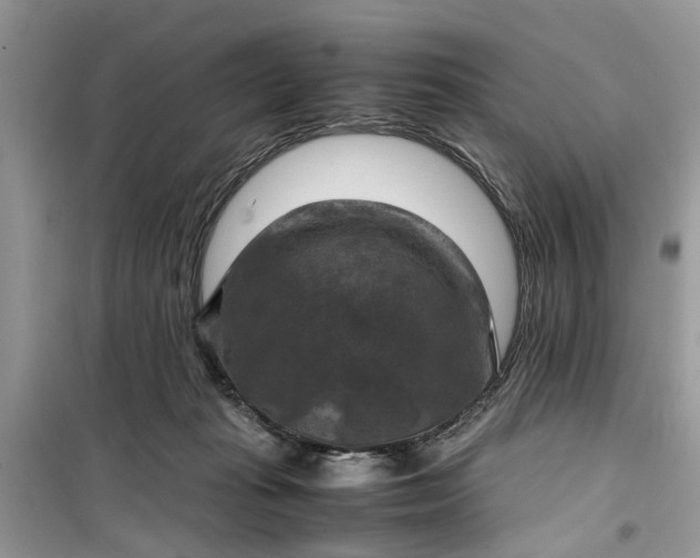 X0000099490269200805291113