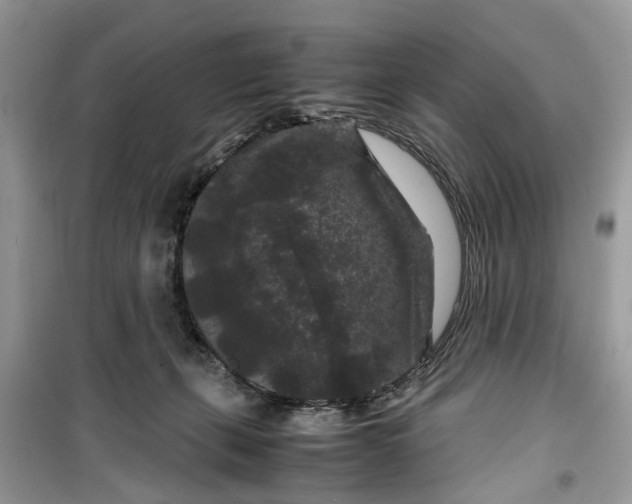 X0000099490271200805291113