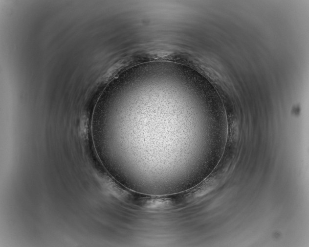 X0000099490274200805291113