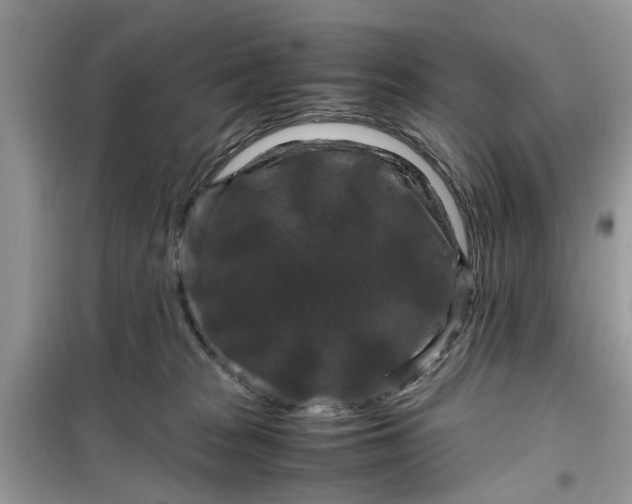 X0000099490277200805291113