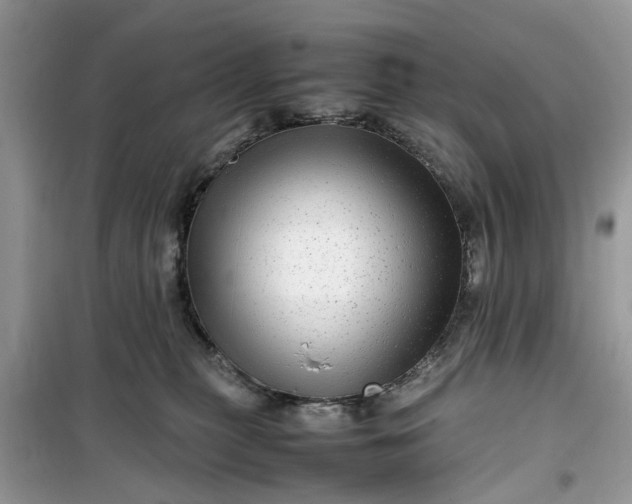 X0000099490279200805291113