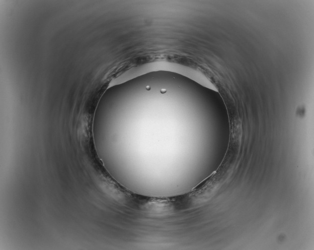 X0000099490280200805291113