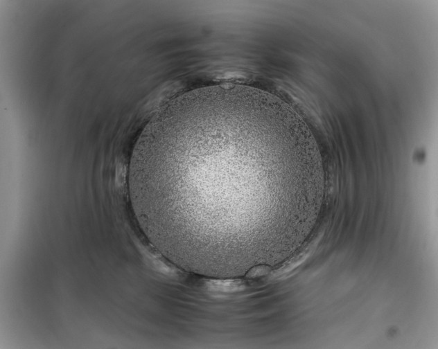 X0000099490281200805291113