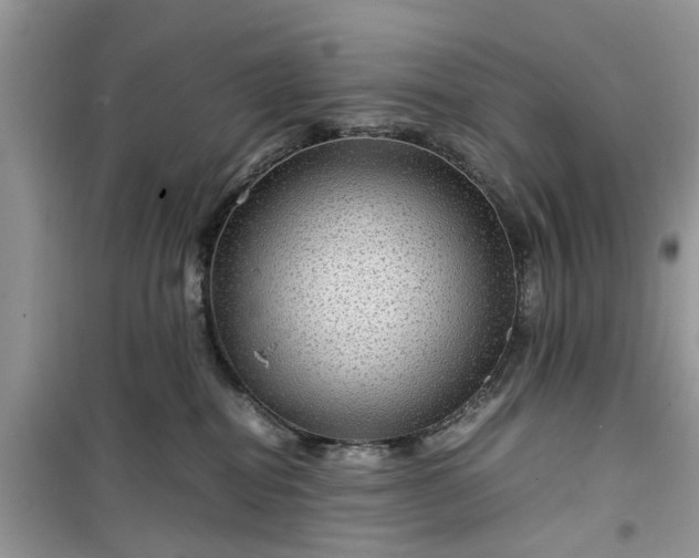 X0000099490282200805291113