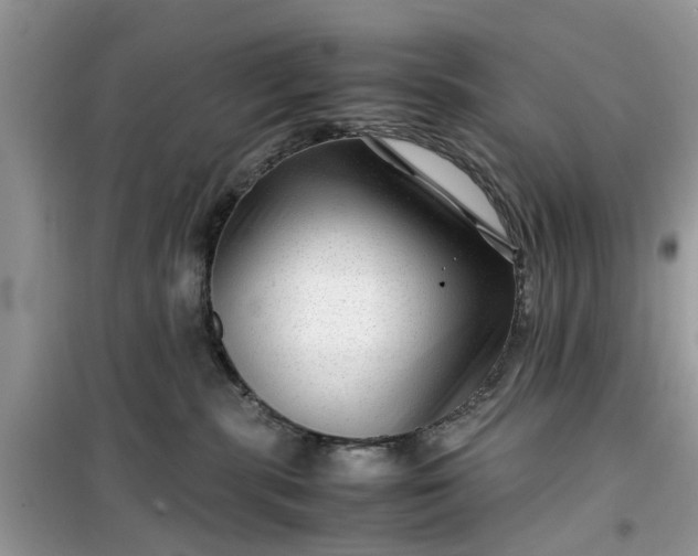 X0000099490283200805291113