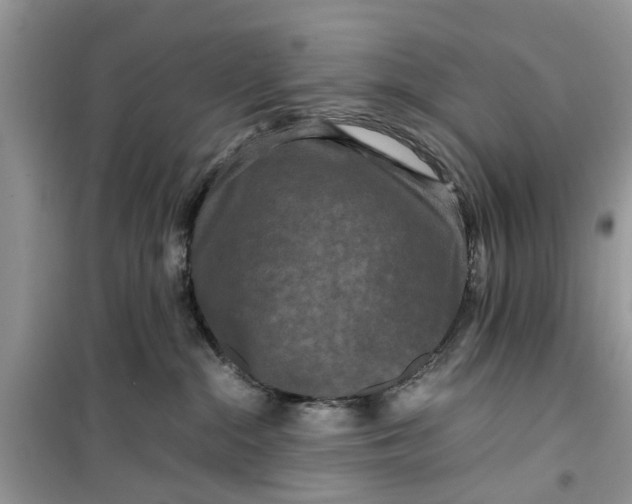 X0000099490284200805291113