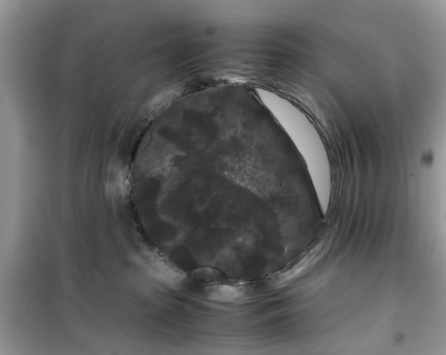 X0000099490285200805291113