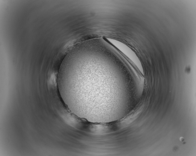 X0000099490286200805291113