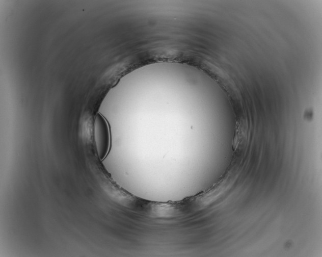 X0000099490287200805291113