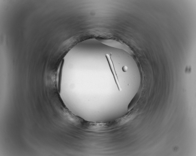 X0000099490288200805291113