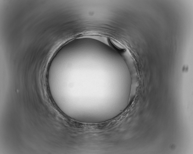 X0000099490289200805291112